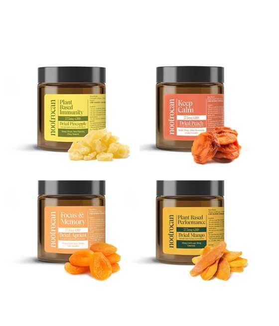 Nootrocan 375mg Full Spectrum CBD Nootropic Dried Fruits - 150g