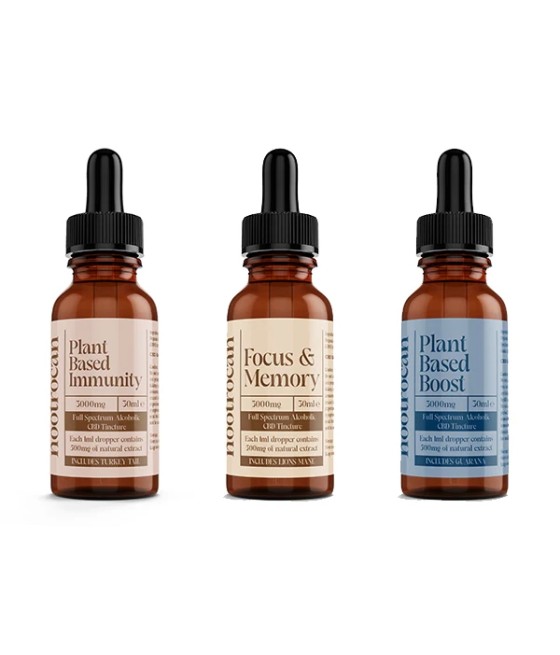 Nootrocan 3000mg 10% Full-Spectrum CBD Nootropic Tincture - 30ml