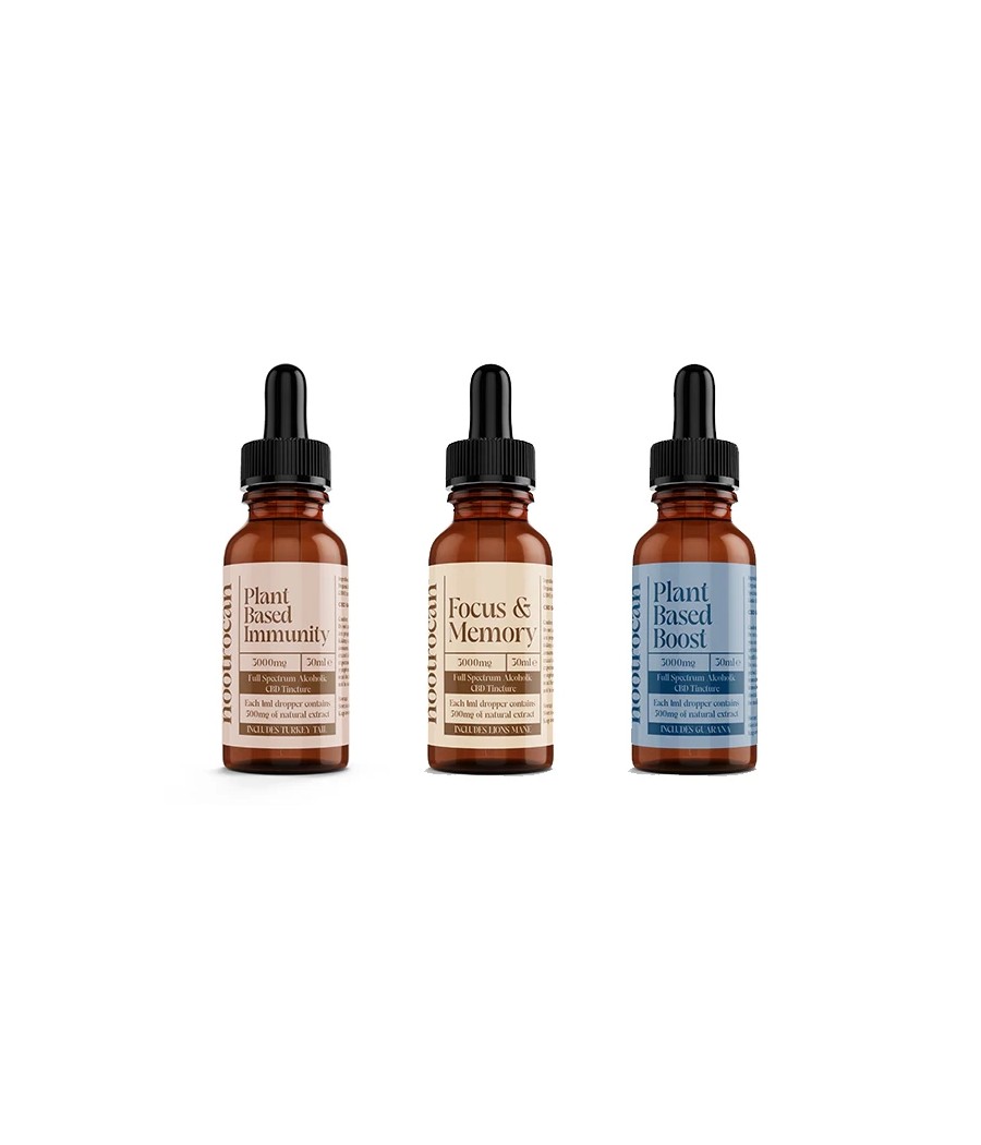 Nootrocan 3000mg 10% Full-Spectrum CBD Nootropic Tincture - 30ml