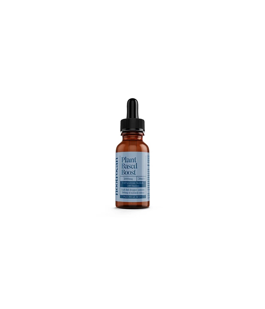 Nootrocan 3000mg 10% Full-Spectrum CBD Nootropic Tincture - 30ml