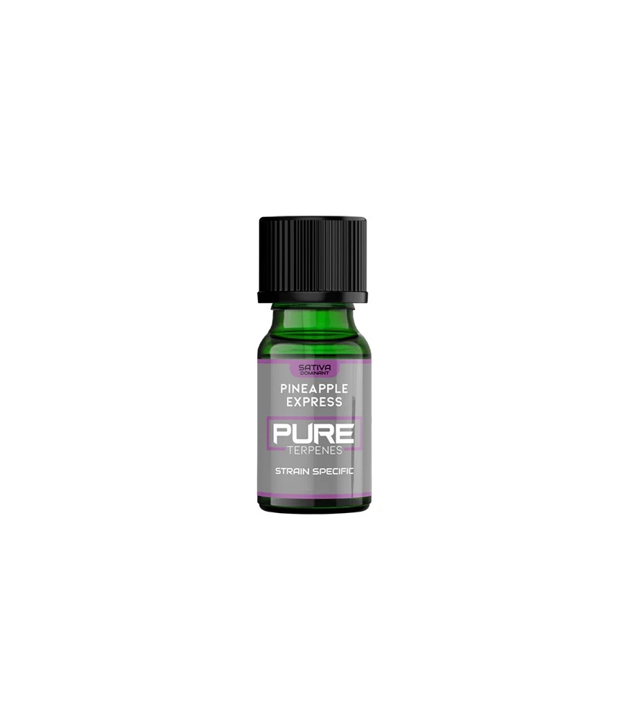 UK Flavour Pure Terpenes Sativa - 2.5ml