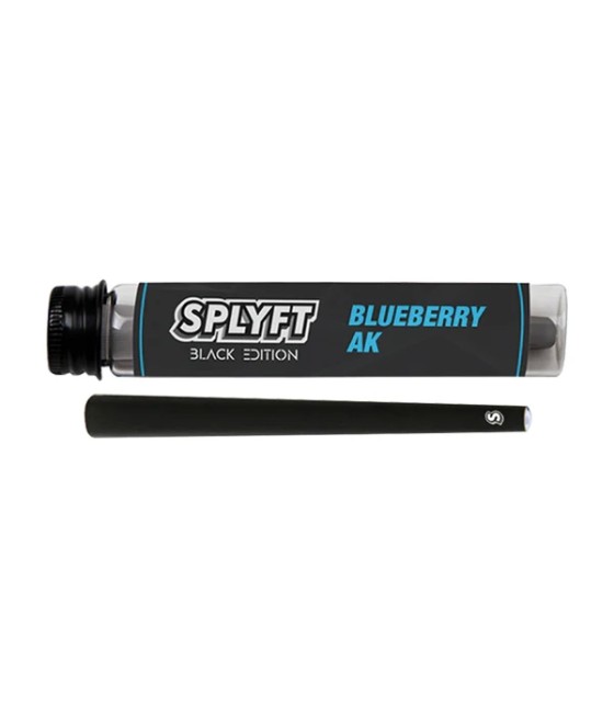 SPLYFT Black Edition Cannabis Terpene Infused Cones – Blueberry AK