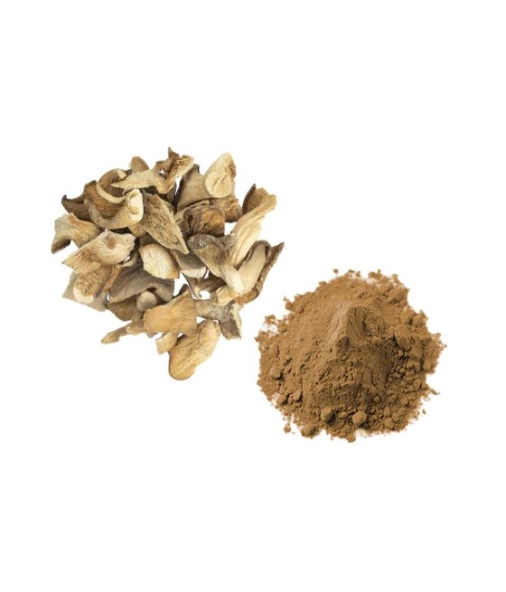 Bulk Oyster Mushroom Powder Wholesale UK