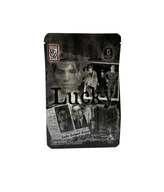 Printed Mylar Zip Bag 3.5g Large