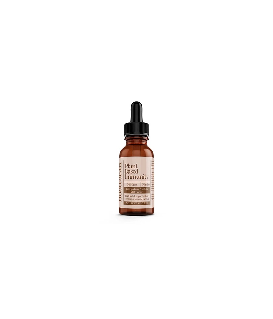 Nootrocan 3000mg 10% Full-Spectrum CBD Nootropic Tincture - 30ml