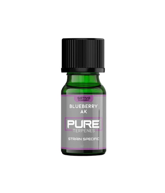 UK Flavour Pure Terpenes Sativa - 2.5ml