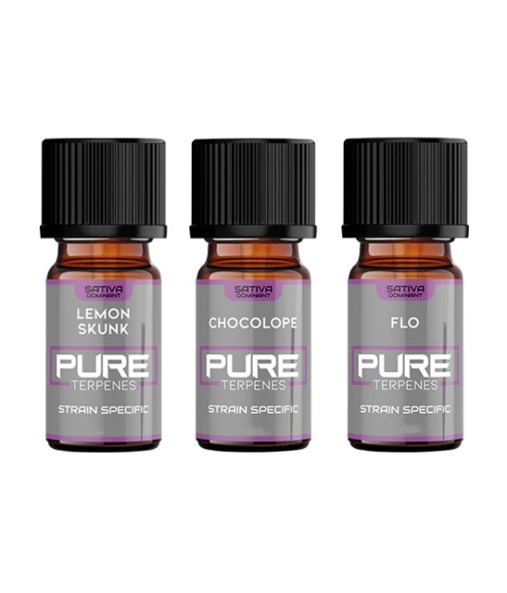 UK Flavour Pure Terpenes Sativa - 5ml