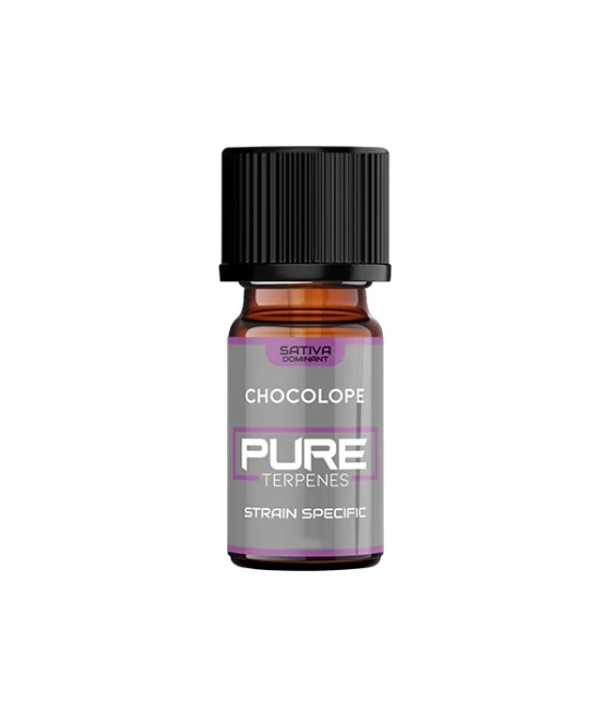 UK Flavour Pure Terpenes Sativa - 5ml