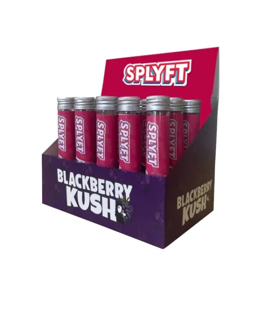 SPLYFT Cannabis Terpene Infused Rolling Cones – Blackberry Kush