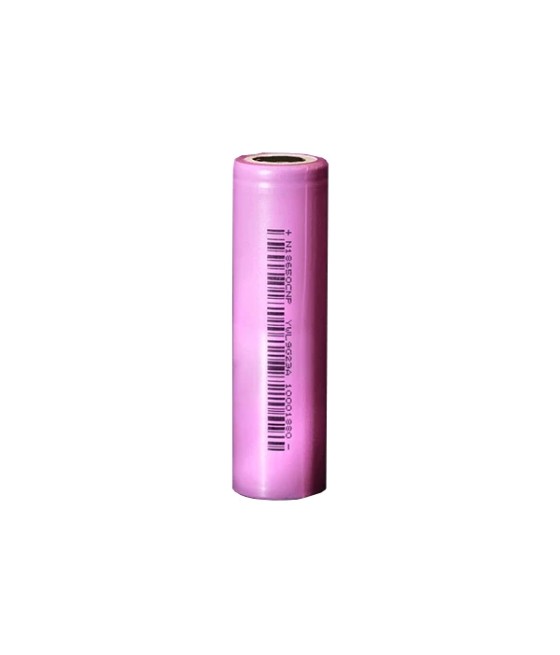 BAK 18650 2500mAh N18650CNP Battery