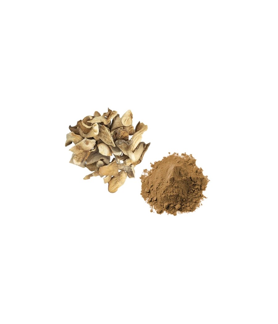 Bulk Oyster Mushroom Powder Wholesale UK
