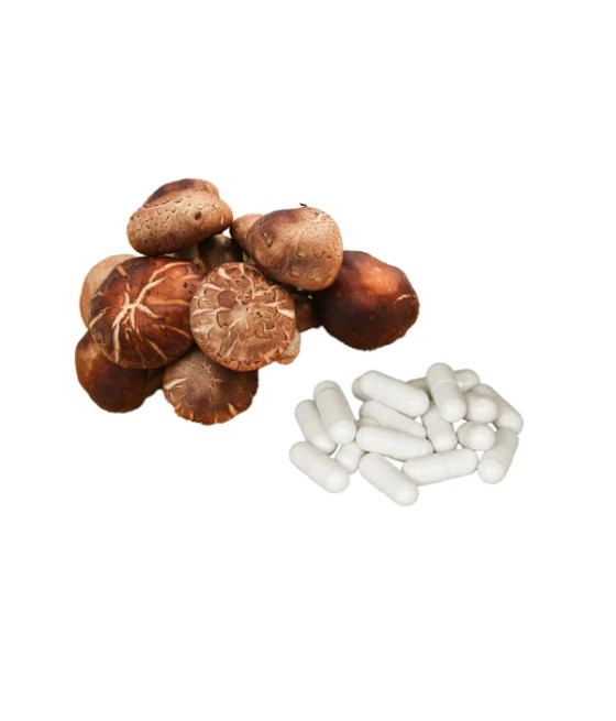Bulk Pure 500mg Shiitake Mushroom Capsules Wholesale UK