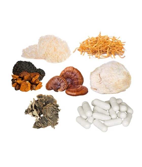 Bulk Mushroom Complex Capsules Wholesale UK
