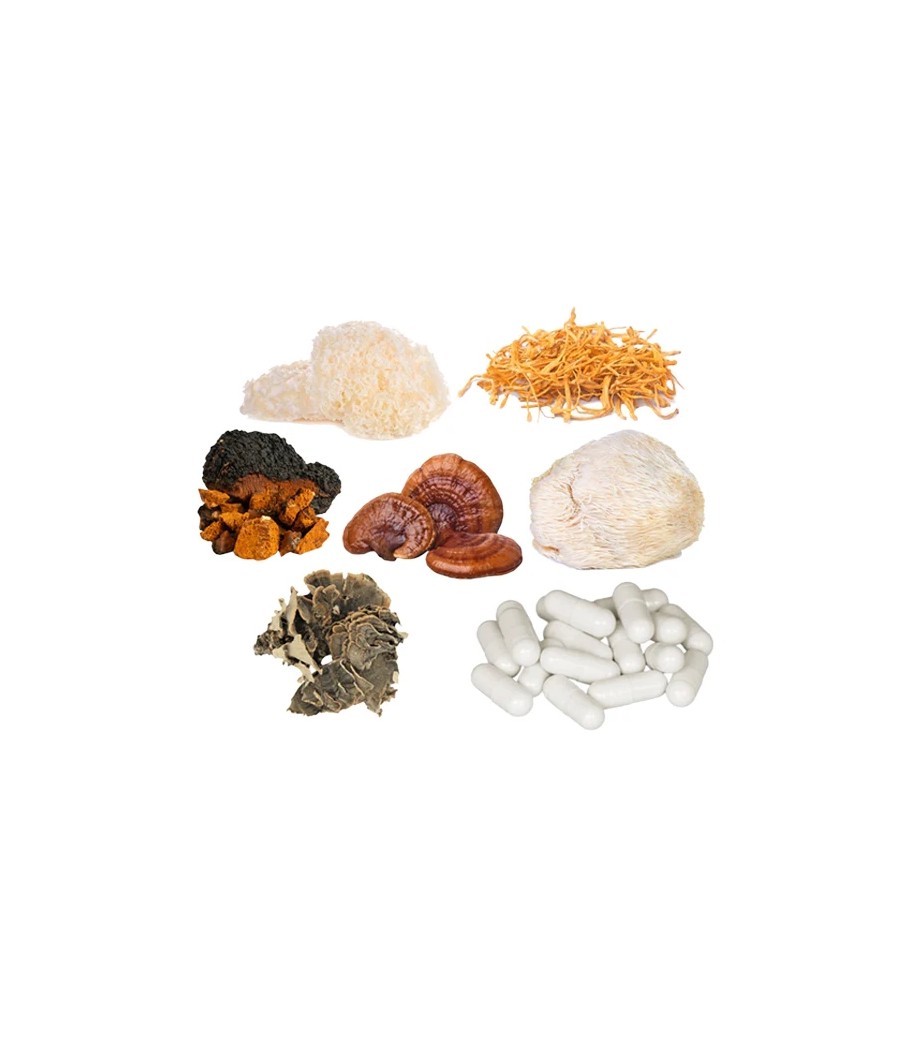 Bulk Mushroom Complex Capsules Wholesale UK