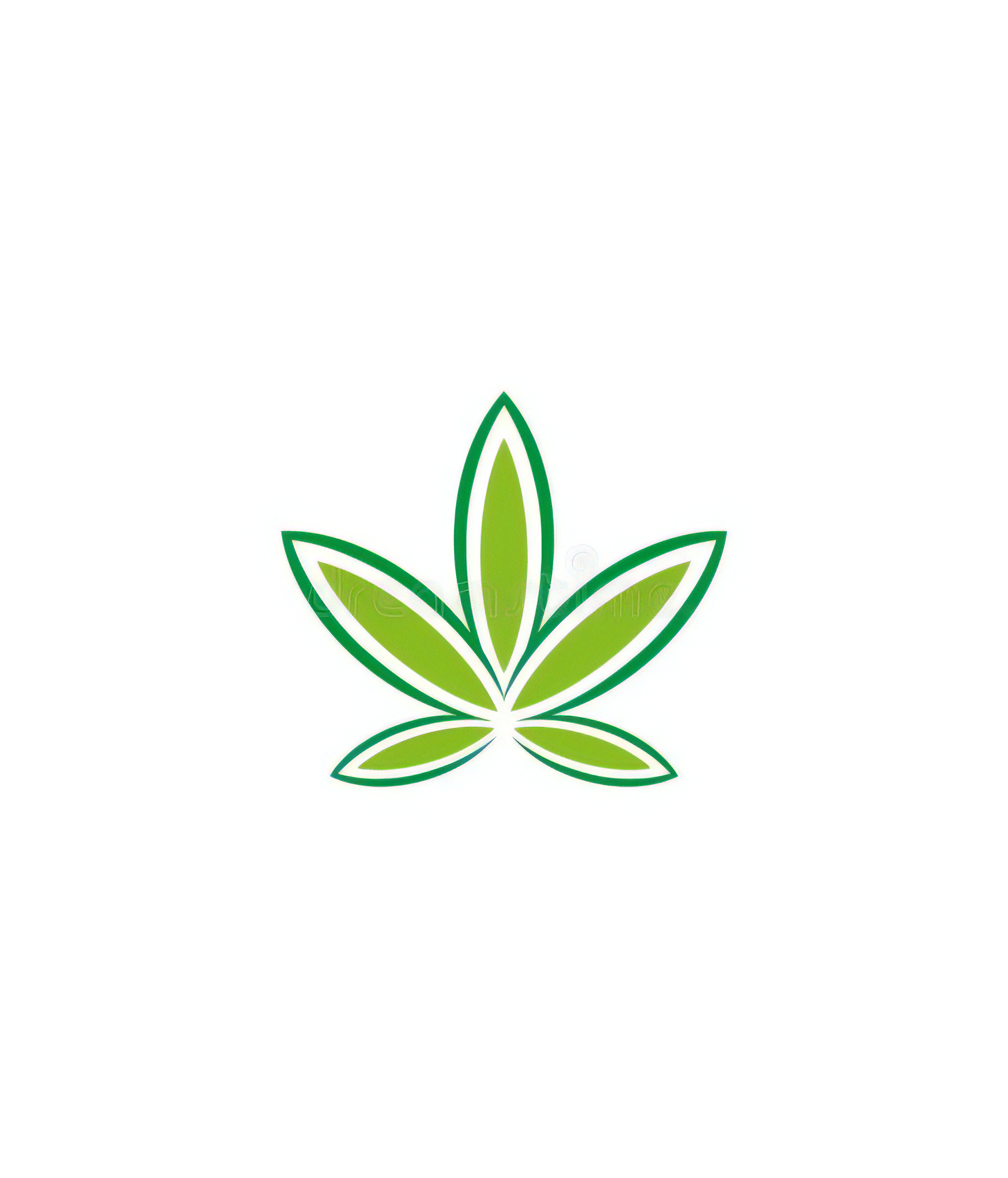 CBD Leaf