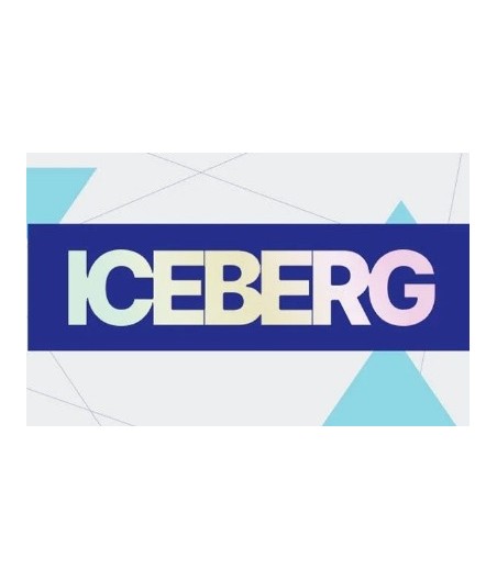 Iceberg