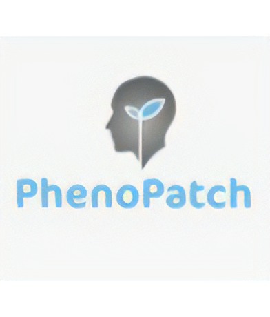 PhenoPatch
